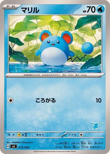 54255