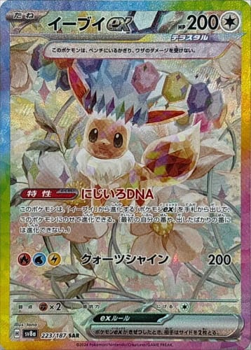62024