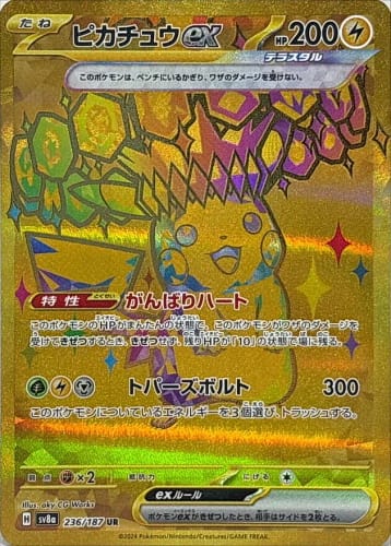 62037