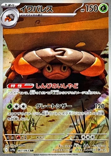 64566